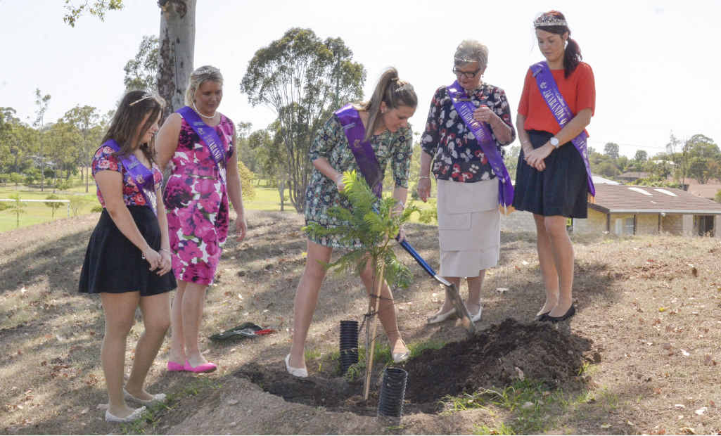 DIGGING IN: The Jacaranda Royal Party (from left) Rachael Mackenzie, Madeline McDonald, Stephanie Elliot, Sue Steele, Emily Causley plant a Jacaranda tree at Junction Hill. DIGGING IN: The Jacaranda Royal Party (from left) Rachael Mackenzie, Madeline McDonald, Stephanie Elliot, Sue Steele, Emily Causley plant a Jacaranda tree at Junction Hill.